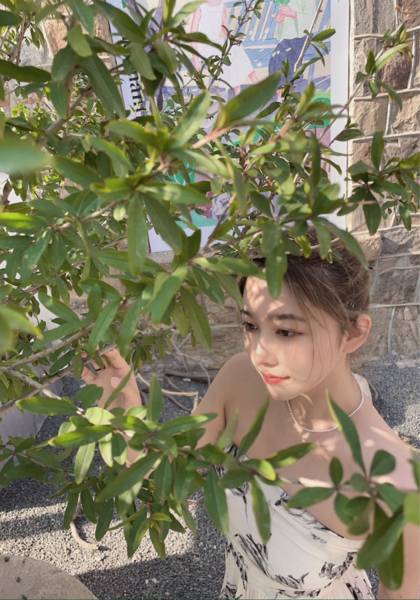 推荐艺人
