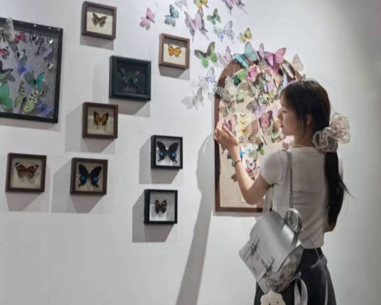 艺人背景图