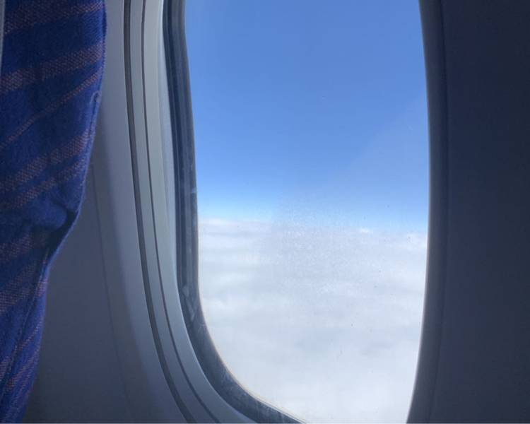 艺人背景图
