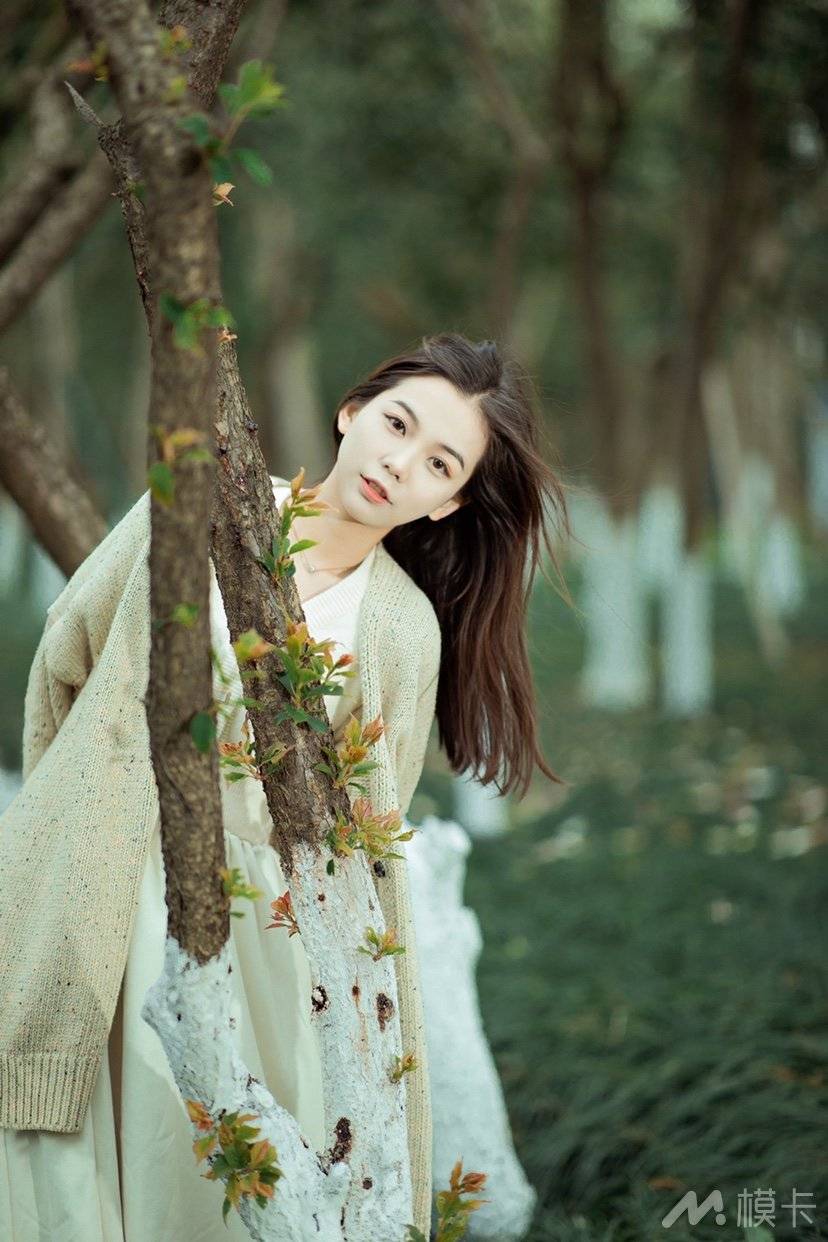 作品图片