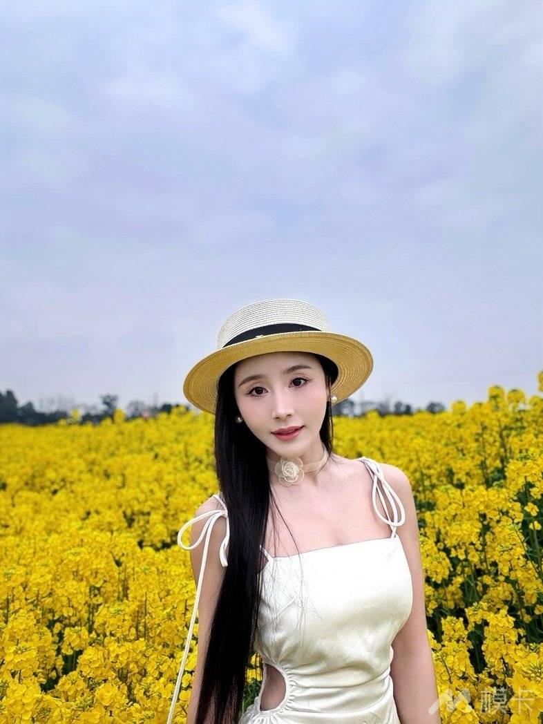 作品图片