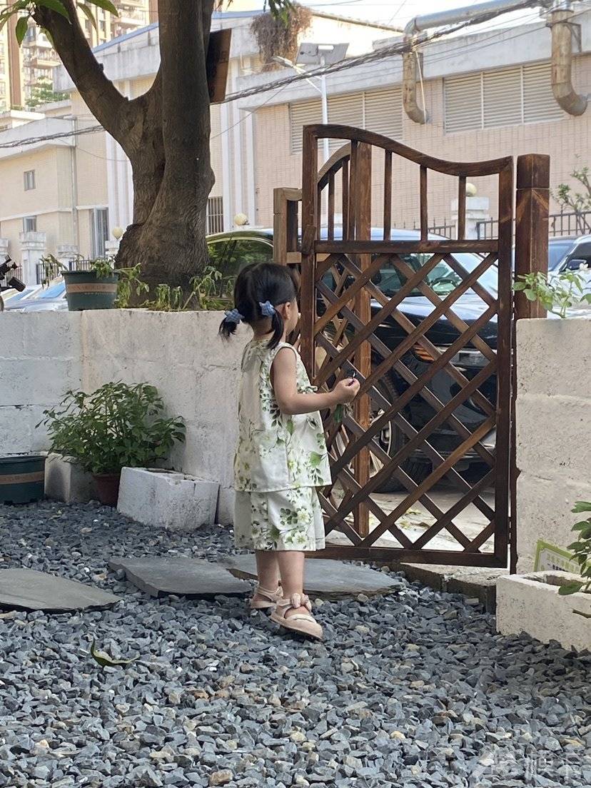作品图片