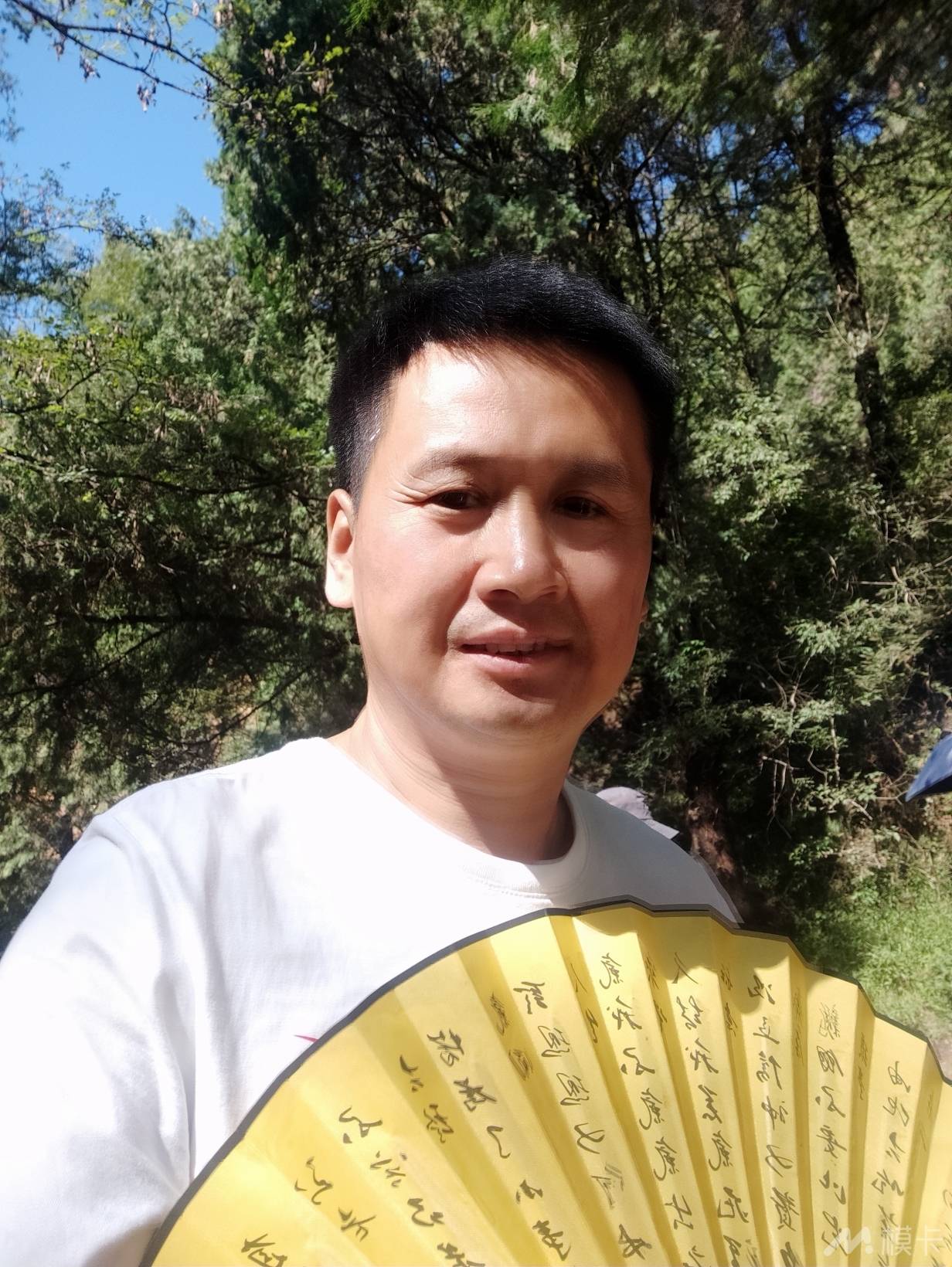 作品图片