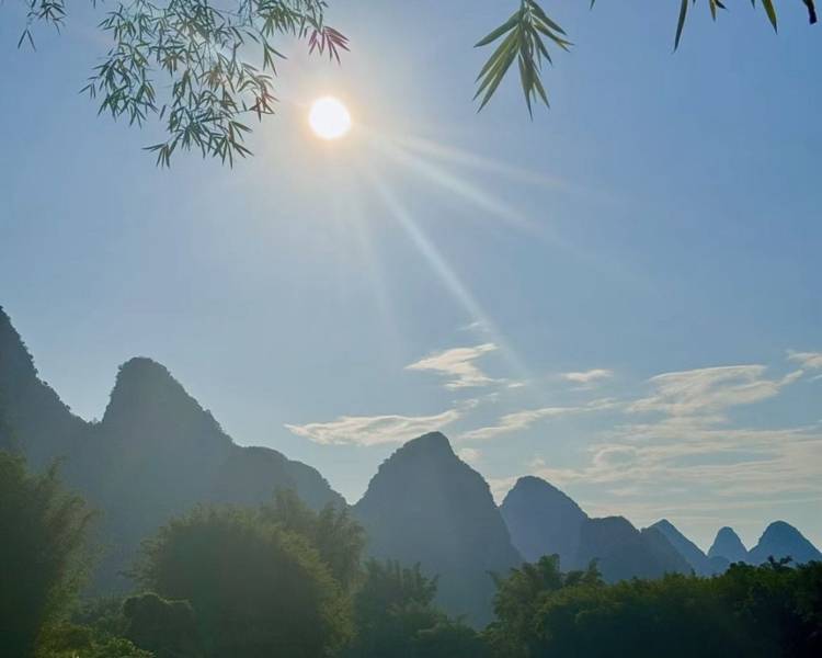 艺人背景图