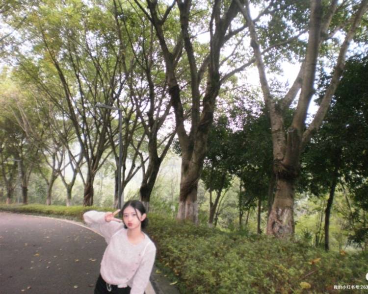 艺人背景图