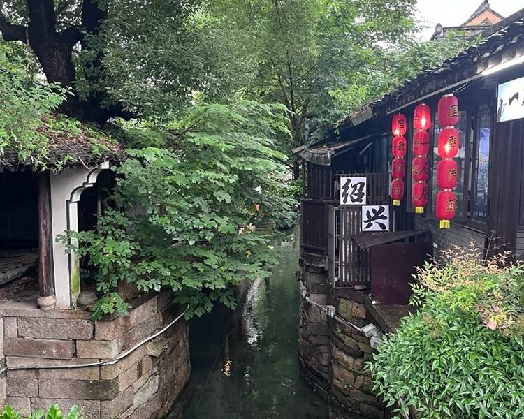 艺人背景图