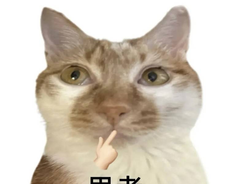 艺人背景图
