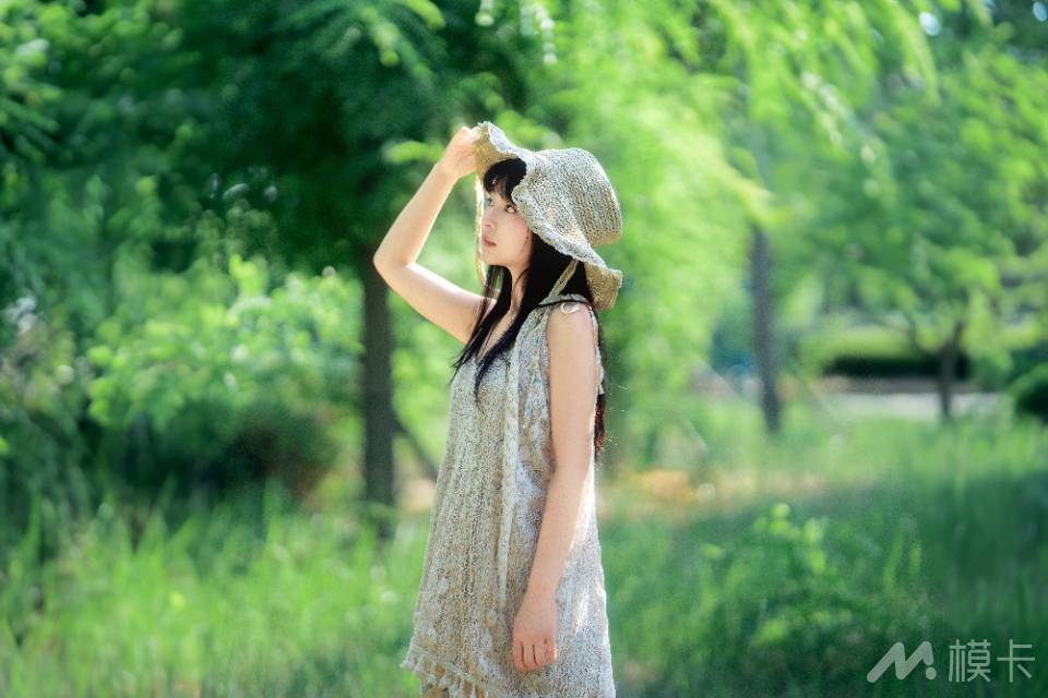 作品图片