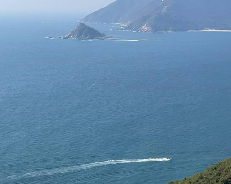 艺人背景图