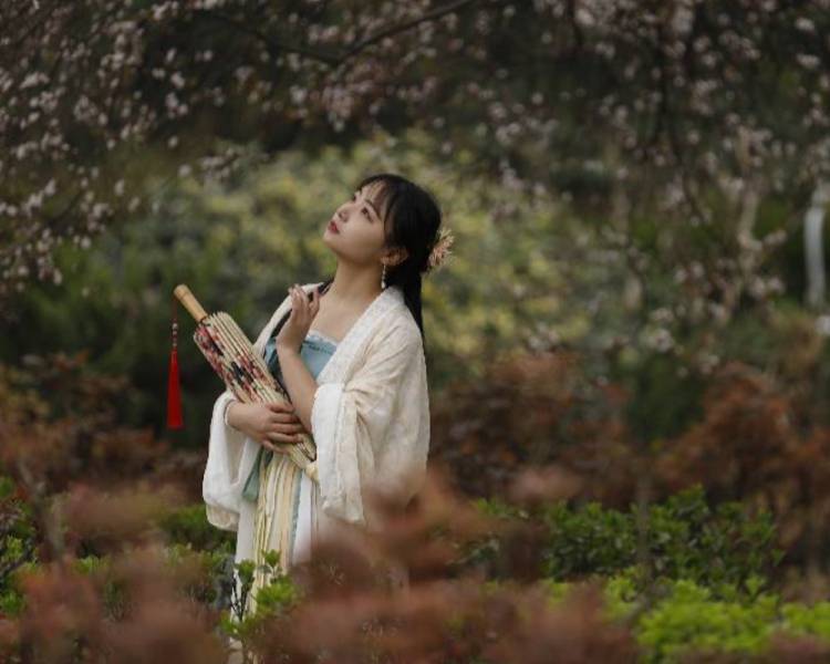 艺人背景图
