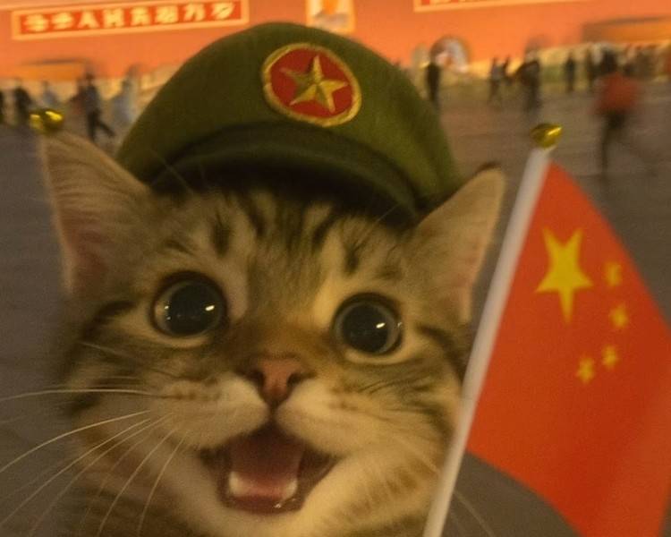 艺人背景图