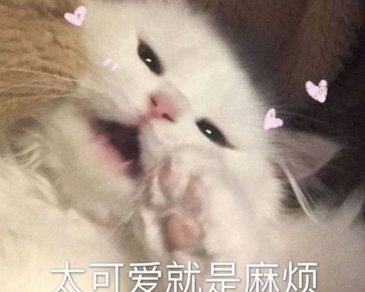 艺人背景图