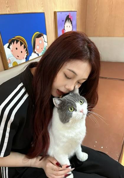 推荐艺人