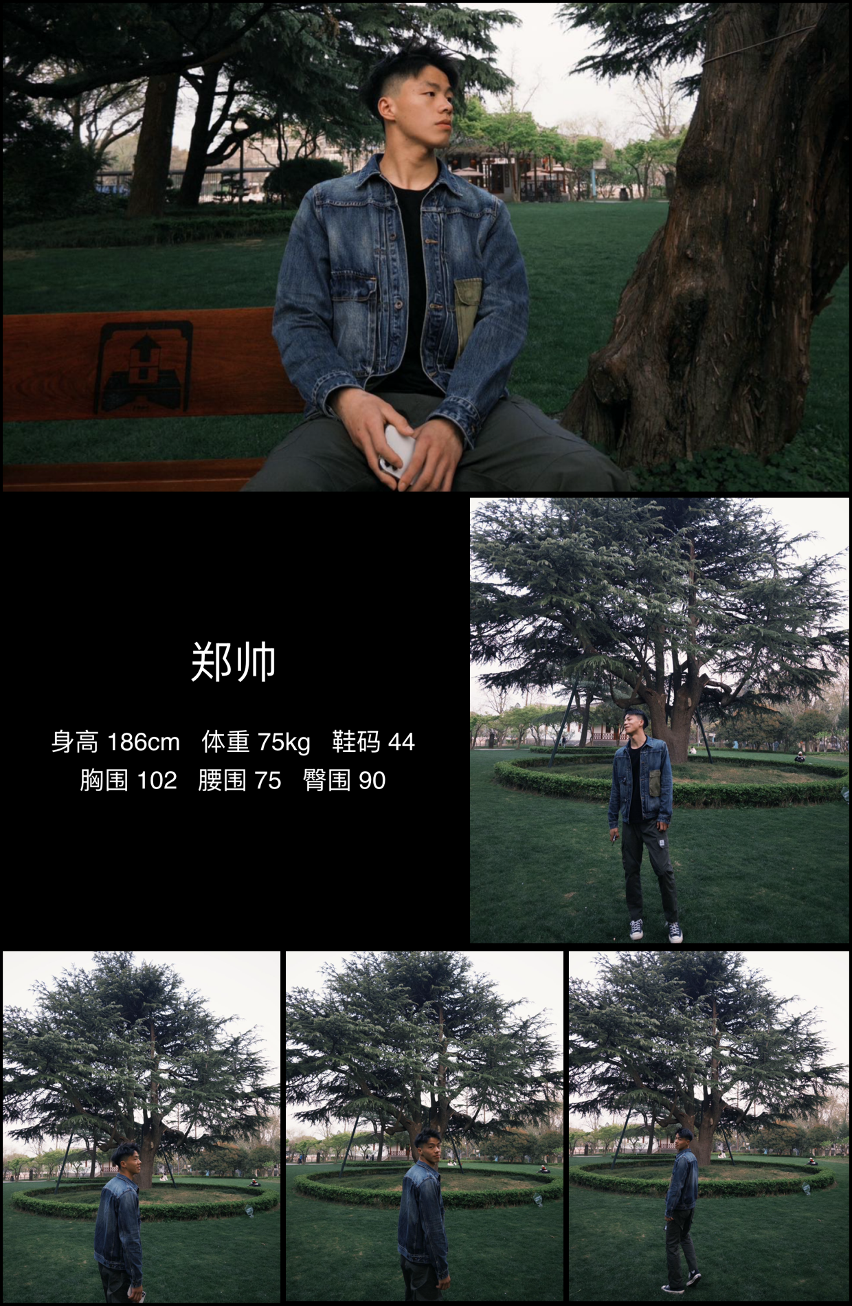 模卡