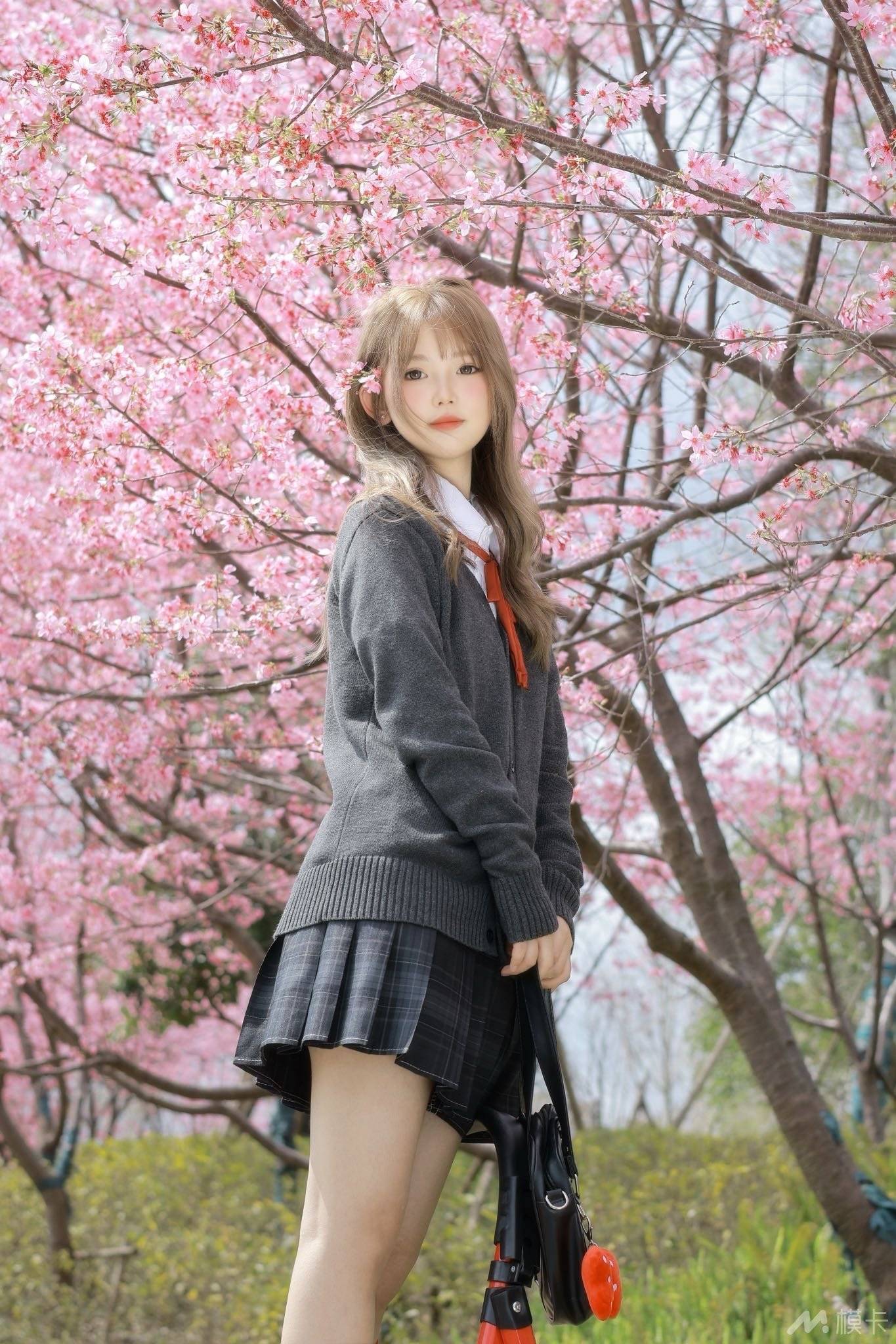 作品圖片