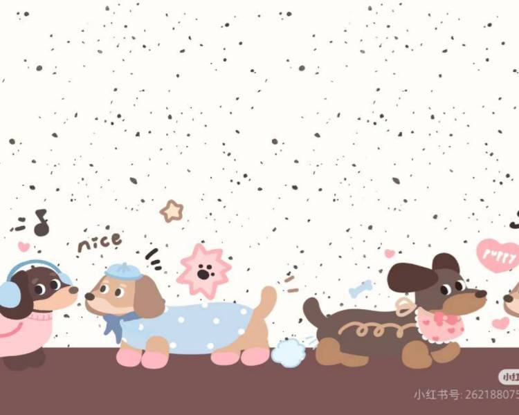 艺人背景图