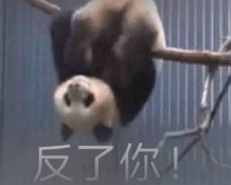 艺人背景图