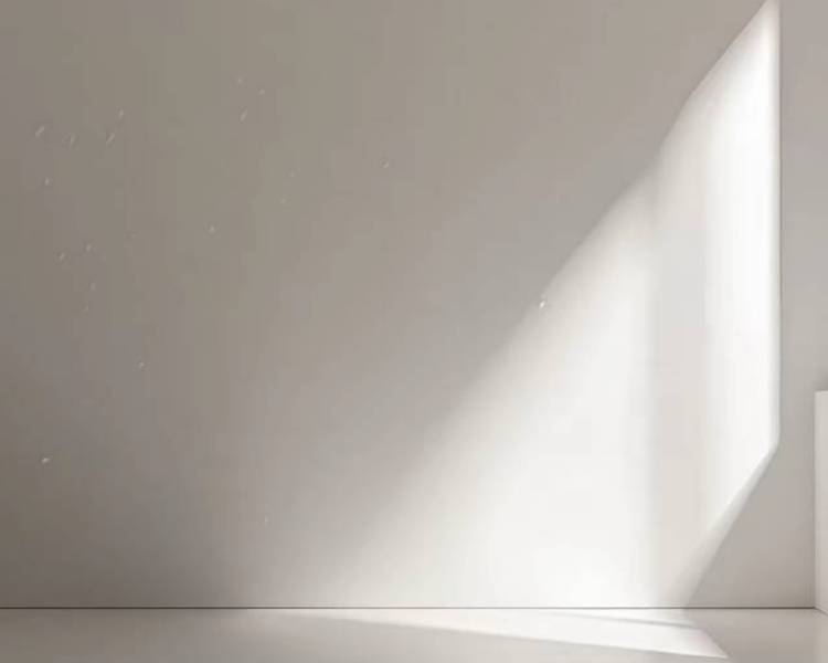 艺人背景图