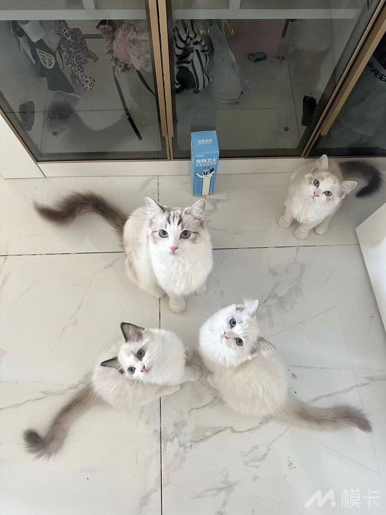 通告图片