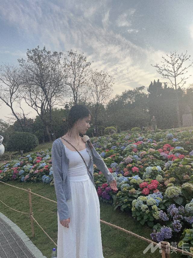 作品图片