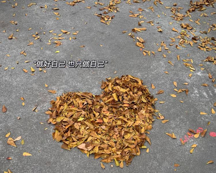 艺人背景图
