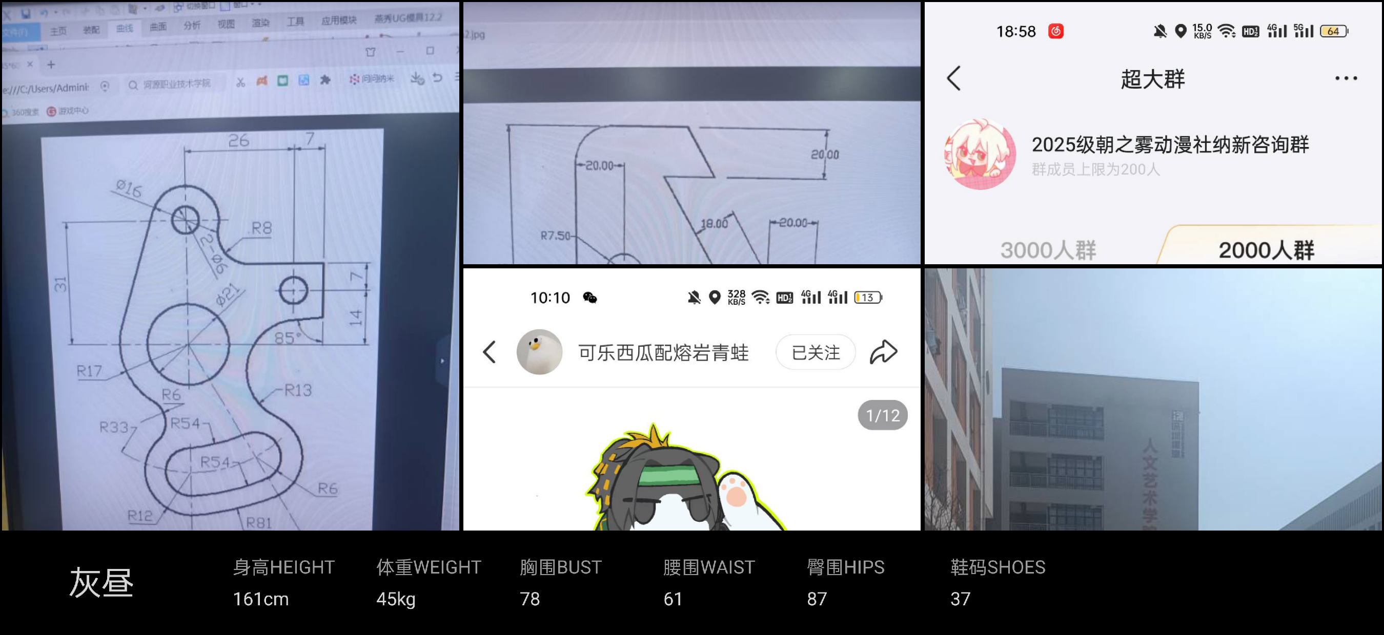 模卡