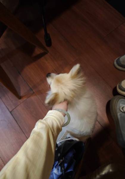 形象照片