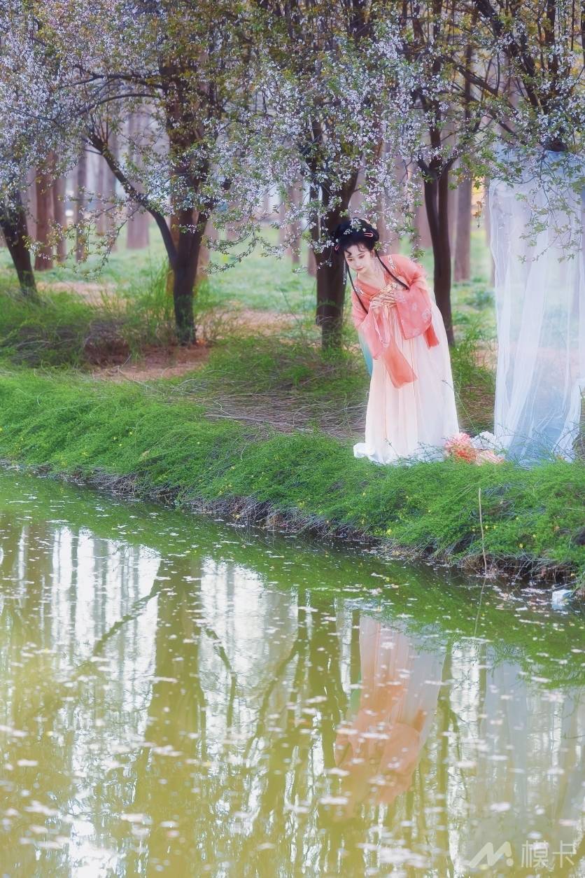 作品图片