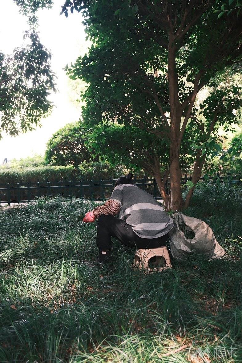 作品图片