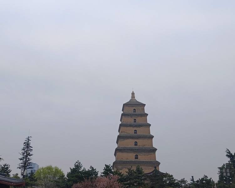 艺人背景图