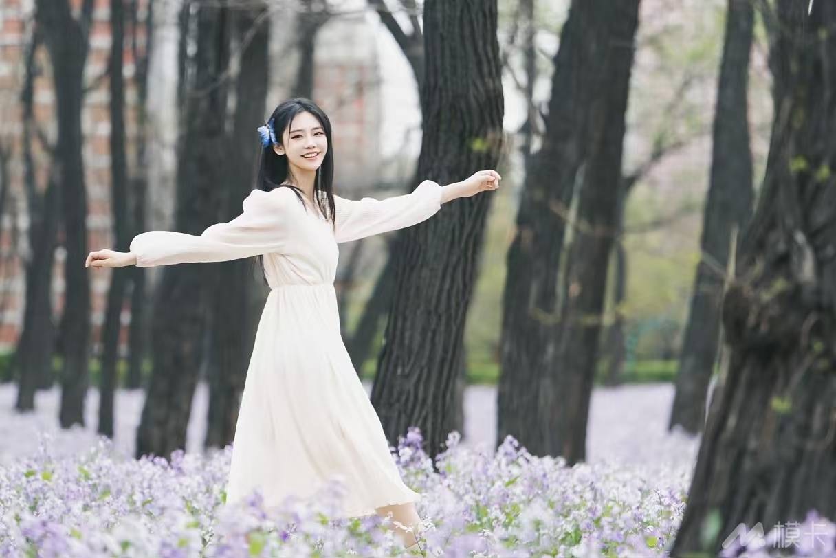 作品图片