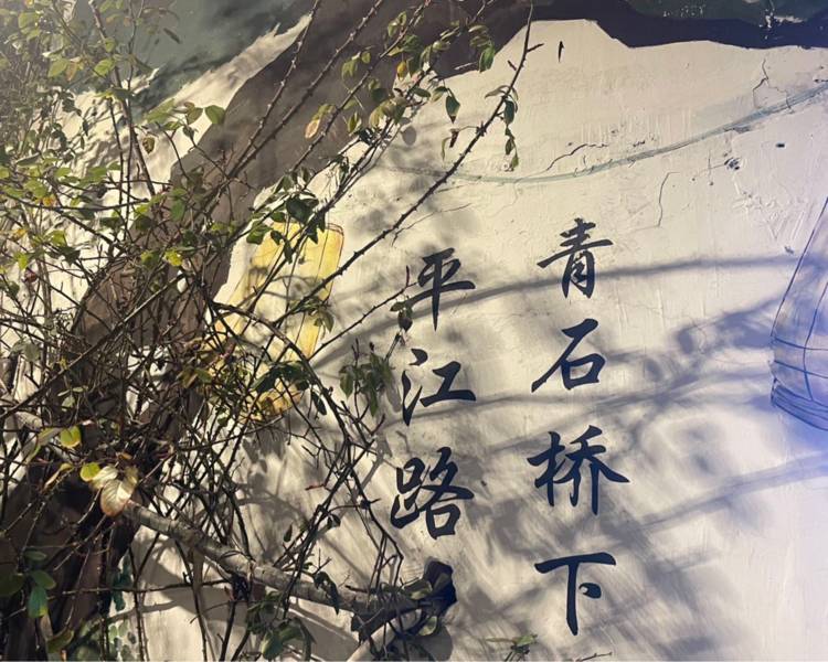 艺人背景图