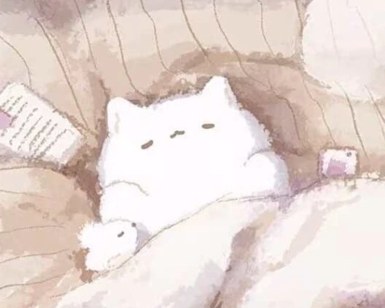 艺人背景图
