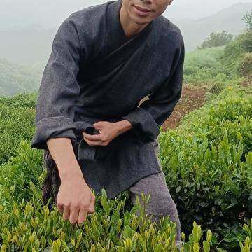 经历图片