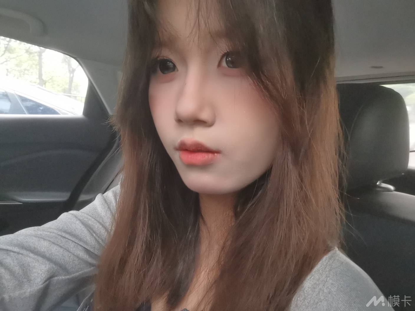 作品图片