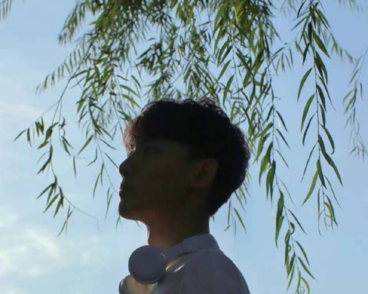 艺人背景图