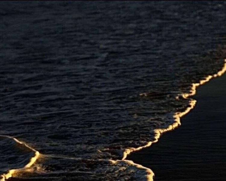 艺人背景图