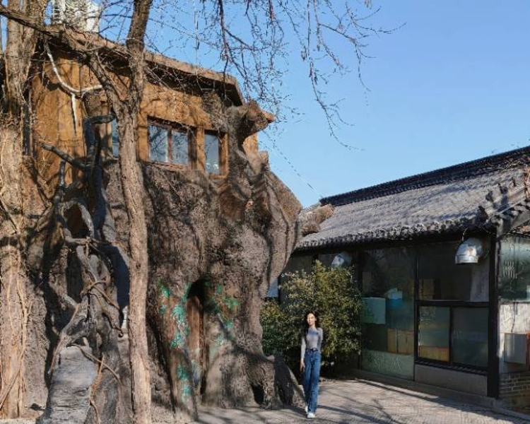 艺人背景图