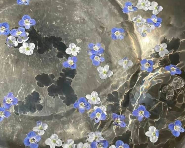 艺人背景图