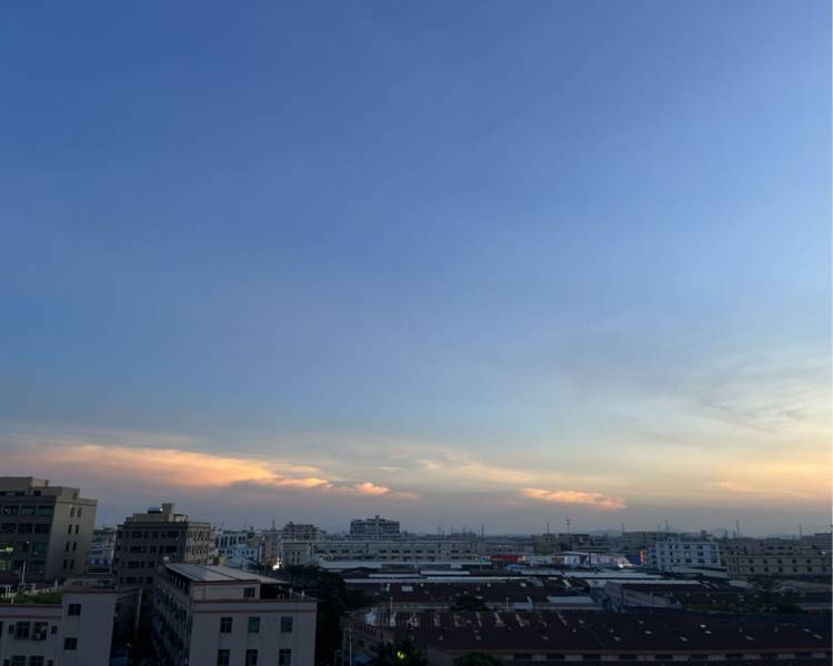 艺人背景图