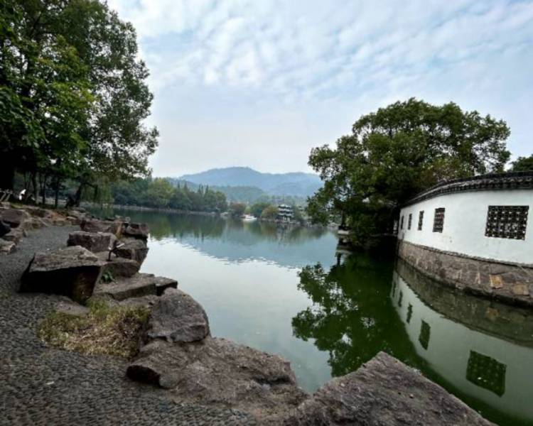 艺人背景图