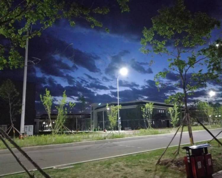 艺人背景图