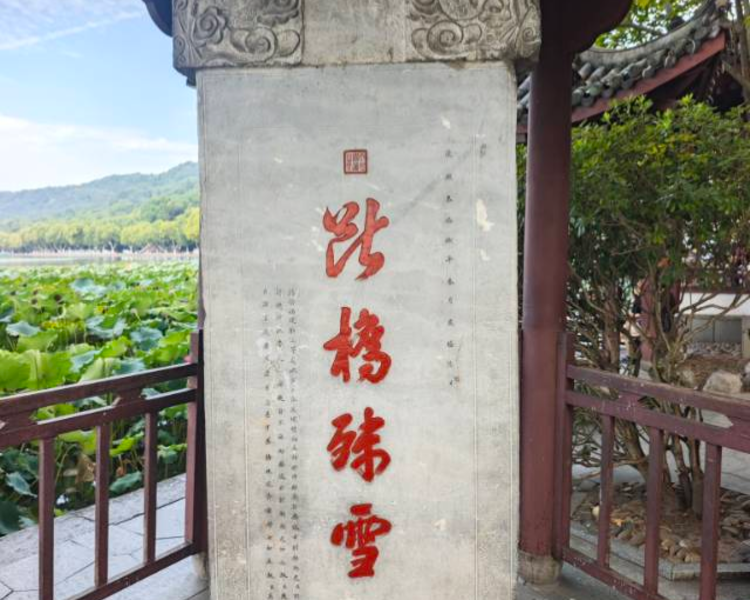 艺人背景图