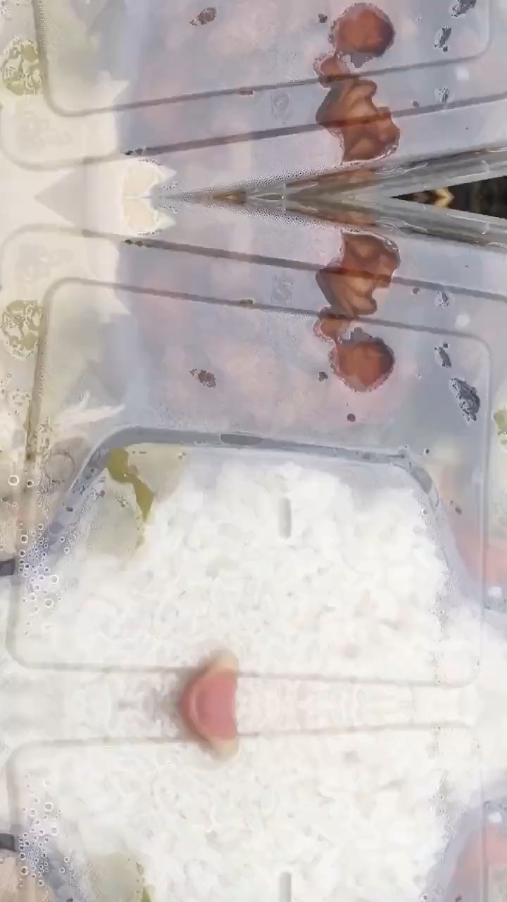 推荐作品