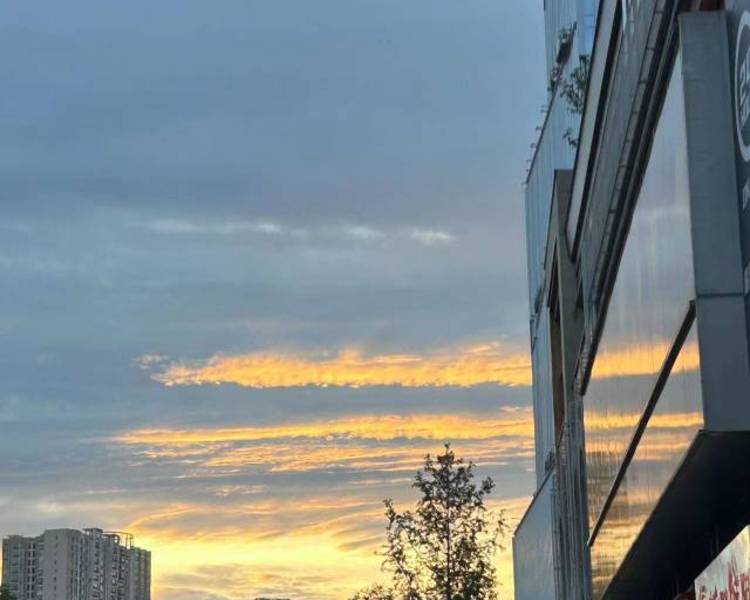 艺人背景图