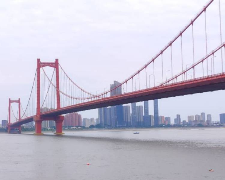 艺人背景图