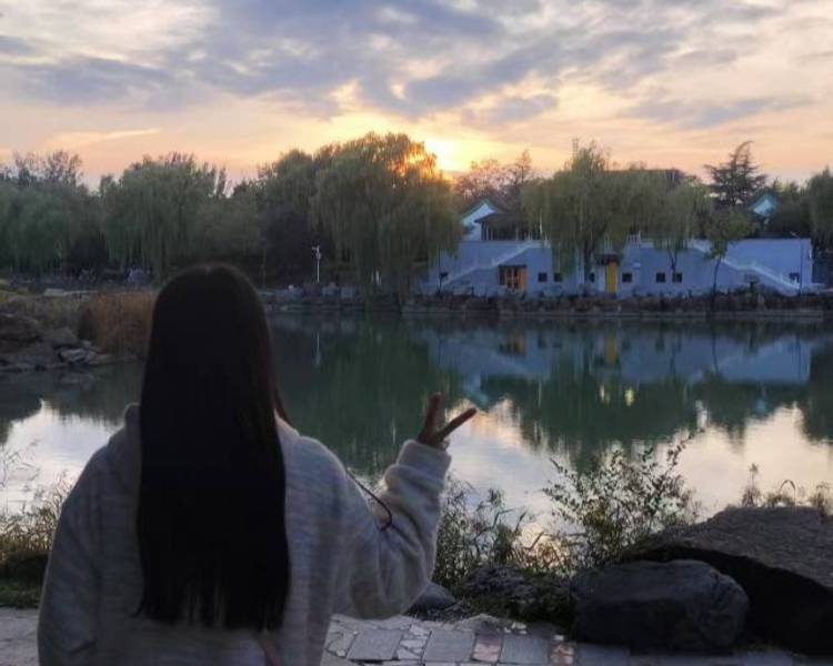艺人背景图
