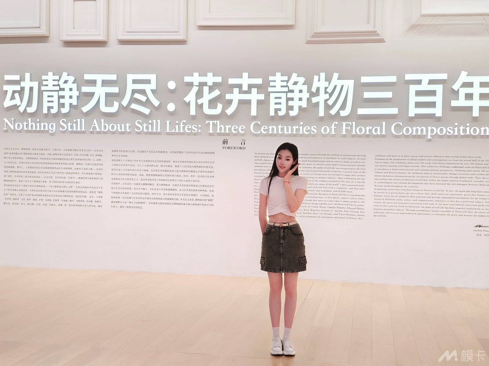 作品图片
