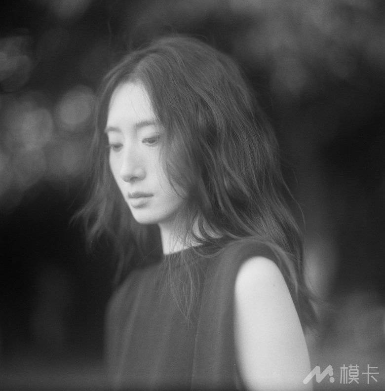 作品图片
