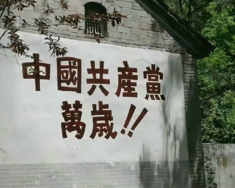 艺人背景图